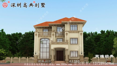農村二樓半別墅設計圖。